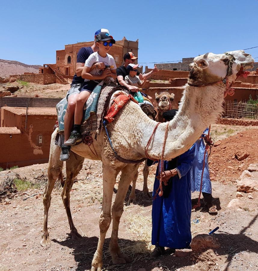 Bed and Breakfast Kasbah La Cigogne à Ait Benhaddou Extérieur photo